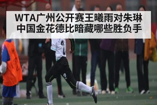 WTA广州公开赛王曦雨对朱琳 中国金花德比暗藏哪些胜负手 | kaiyun